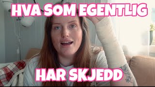 HVA SOM EGENTLIG HAR SKJEDD [upl. by Pallas464]