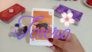 ♉ TOURO ♉ VOCÊ ATINGINDO UM OUTRO NÍVEL DECISÕES QUE FORAM ADIADAS MAS CHEGOU A HORA [upl. by Seuqirdor309]