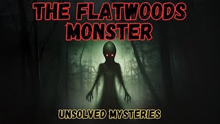 The Flatwoods Monster [upl. by Nosnevets]