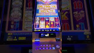 Pokie big bet 5 dollars [upl. by Resor]