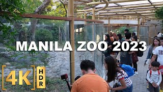 Manila Zoo Now With ₱150 Entrance Fee  New Attractions Walking Tour 2023  4K HDR  Philippines [upl. by Redyr]