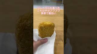 愛媛にきたらこの名物は食べておこう！ shorts 愛媛 じゃこ天 じゃこカツ 食べ歩き テイクアウト おすすめ グルメ 人気 [upl. by Giarg]