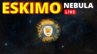 LIVE Eskimo Nebula With a 12quot Dobsonian Telescope [upl. by Deckert]