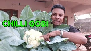 CHILLI GOBIHOW TO MAKE CHILLI GOBIEASYTASTY [upl. by Anohsal]