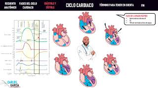 Fisiología — Ciclo Cardiaco Llenado Eyección Contracción [upl. by Israel]