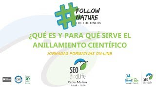 LIFE Followers  4º CURSO Live El Anillamiento científico ¿Qué es y para qué sirve [upl. by Leerzej]