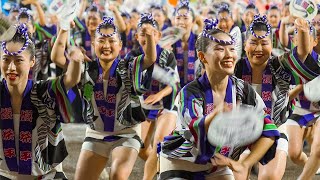 Awaodori Dance Festival in Tokushima Japan  2023 Awaodori  ASMR [upl. by Brandon]