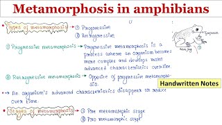 Metamorphosis  Hormonal control  Stages  Progressive and Retrogressive  Handwritten notes [upl. by Rebba360]