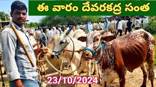 ఈ వారం దేవరకద్ర సంతలో ఎద్దుల ధరలు Cattle prices in Devarakadra cattle market [upl. by Nannie]