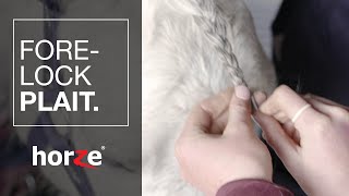 How to plait your horses forelock  Tutorial [upl. by Ecinehs]