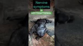 Nervine symptoms [upl. by Aihk]