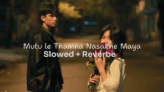 Mutu Le Thamna Nasakne Maya  Slowed amp Reverbe [upl. by Merrielle]