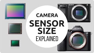 Camera Sensor Size Explained [upl. by Massiw]