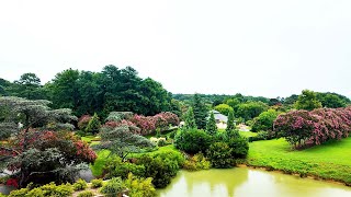 Norfolk Botanical Garden Tour [upl. by Lindsy774]