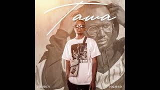 Fresh Boy feat Malam6ix Tawa official Audio [upl. by Rashidi37]