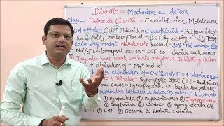 Diuretic Part 06 Thiazide Diuretic Mechanism of Action  Thiazide Diuretics  Diuretics Classi [upl. by Sisak931]