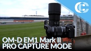 Olympus OMD EM1 Mark II Pro Capture Mode Review [upl. by Hemminger]