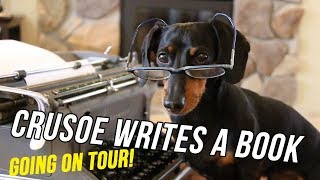 Crusoe the Dachshund Writes His New Book  Going on TOUR [upl. by Niklaus583]