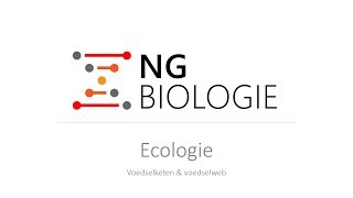 Ecologie  voedselketen en voedselweb  HAVOVWO [upl. by Berns]