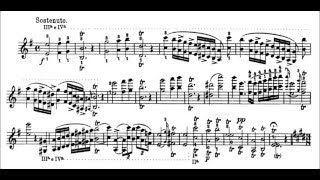 Niccolò Paganini  Caprice for Solo Violin Op 1 No 3 Sheet Music [upl. by Carlota335]