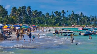 Maragogi Alagoas Feriado De 1 De Maio De 2023 Praia De Barra Grande [upl. by Akela]