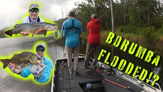 Fishing Borumba Dam 2 Days Before it FLOODED Giant TOPWATER HITS [upl. by Lovich]