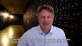 ValpolicellaWineTalks with Stefan Metzner  The Valpolicella Wine Region [upl. by Blinny902]