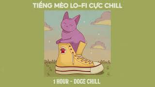 30 Phút Tiếng mèo LoFi kêu meo meo cực chill  Lofi Records Doge Chill [upl. by Finn]