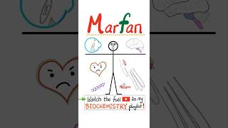 Marfan Syndrome  Genetics 🧬…science nclex mbbs usmle nurse doctor biology anatomy [upl. by Ilysa962]