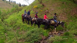 20218 05  Ariège  HautCouserans  Randonnée Equestre avec Govan Quinquis [upl. by Gay]