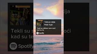 Tekla je rakija  Peđa Vujić TikTok edit video [upl. by Treharne]