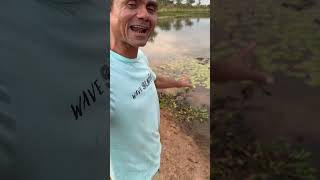 Criando peixe em um lago natural sitiolagoverde [upl. by Aseek]