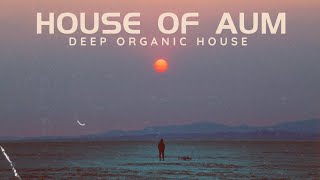 Deep Organic House  House of Aum [upl. by Acinnej]