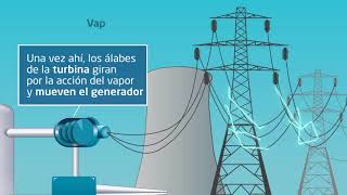 Funcionamiento de una central nuclear en un minuto [upl. by Fay]