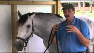 Dressage Movements Revealed Video The Value of Bodywork [upl. by Cohen475]