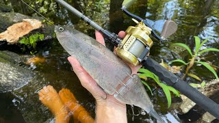 Throwing My Biggest Swimbaits In A Hidden Florida River [upl. by Niala]