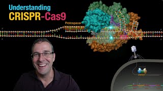 Understanding CRISPRCas9 [upl. by Nennahs]