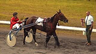 AMMAN VALLEY HARNESS RACES 392000 GRADE B FINAL [upl. by Tallie63]