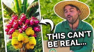 Gardeners React to Best amp WORST Garden Hacks [upl. by Eilah]