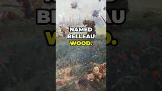 Belleau Wood  The Battle That Changed WW1 [upl. by Jeremie710]