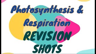 Photosynthesis  GCSE Biology [upl. by Dami728]