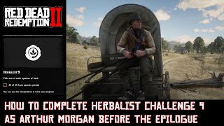 RDR 2 How to complete Herbalist Challenge 9 as Arthur Morgan [upl. by Islean426]