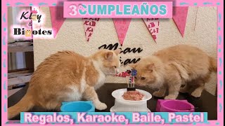 VloGato 3° Cumpleaños de Gato🎂 Regalos Karaoke Baile Pastel KloyampBigotes [upl. by Andonis]