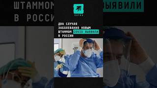 В России выявили два случая заболевания новым штаммом COVID новости поток ковид россия штамм [upl. by Morlee91]