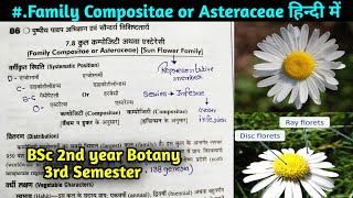 Family Compositae or Asteraceae in hindi BSc 2nd year Botany 3rd Semester [upl. by Kciredohr]