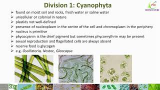 Classification of Algae Algae classification by G M SmithGeneral characters of Algae 7 divisions [upl. by Einneg]