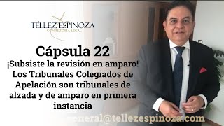 Cápsula 22 Tribunales Colegiados de Apelación son tribunales de alzada y amparo en primera instancia [upl. by Oberstone]