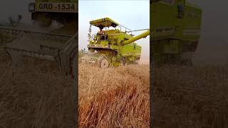 GRD combine combine harvestermachine combinemachine combineharvester harvesterwalatranding [upl. by Ettener]