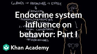 Endocrine system and influence on behavior  Part 1  Behavior  MCAT  Khan Academy [upl. by Okoyk461]