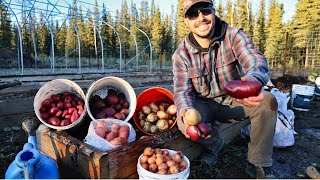 Annual Potato Harvest Planting Garlic amp Putting the Garden to Bed  Saying Goodbye to a Friend [upl. by Rai]